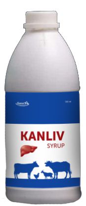Kanliv Syrup